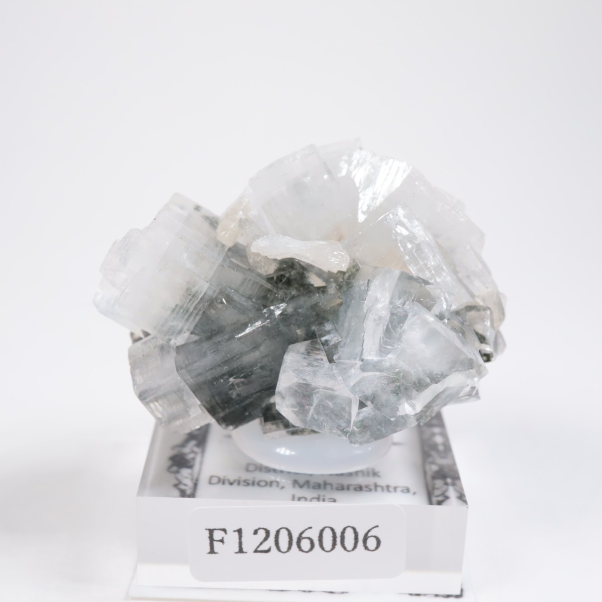 ����ɻ� ���ݥե��饤��