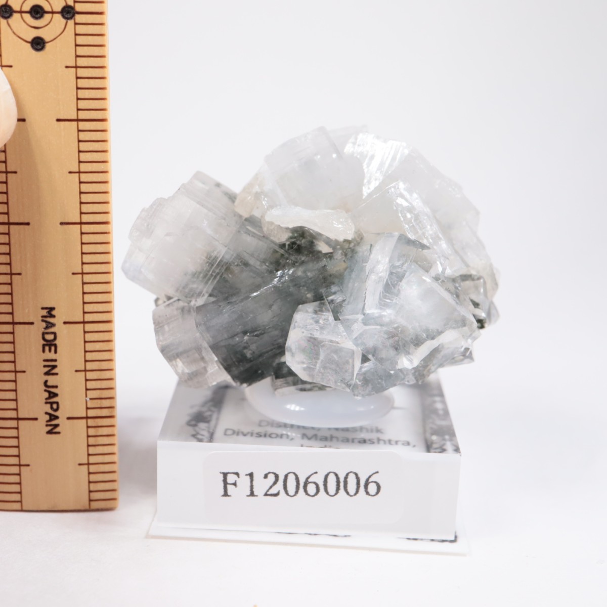 ����ɻ� ���ݥե��饤��