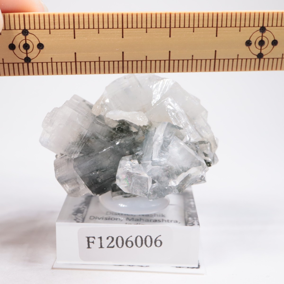 ����ɻ� ���ݥե��饤��