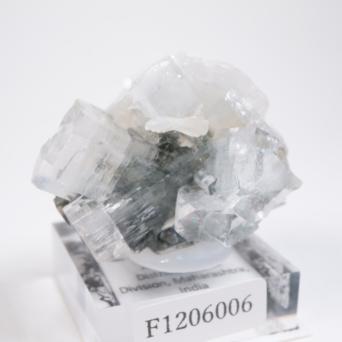 ����ɻ� ���ݥե��饤��