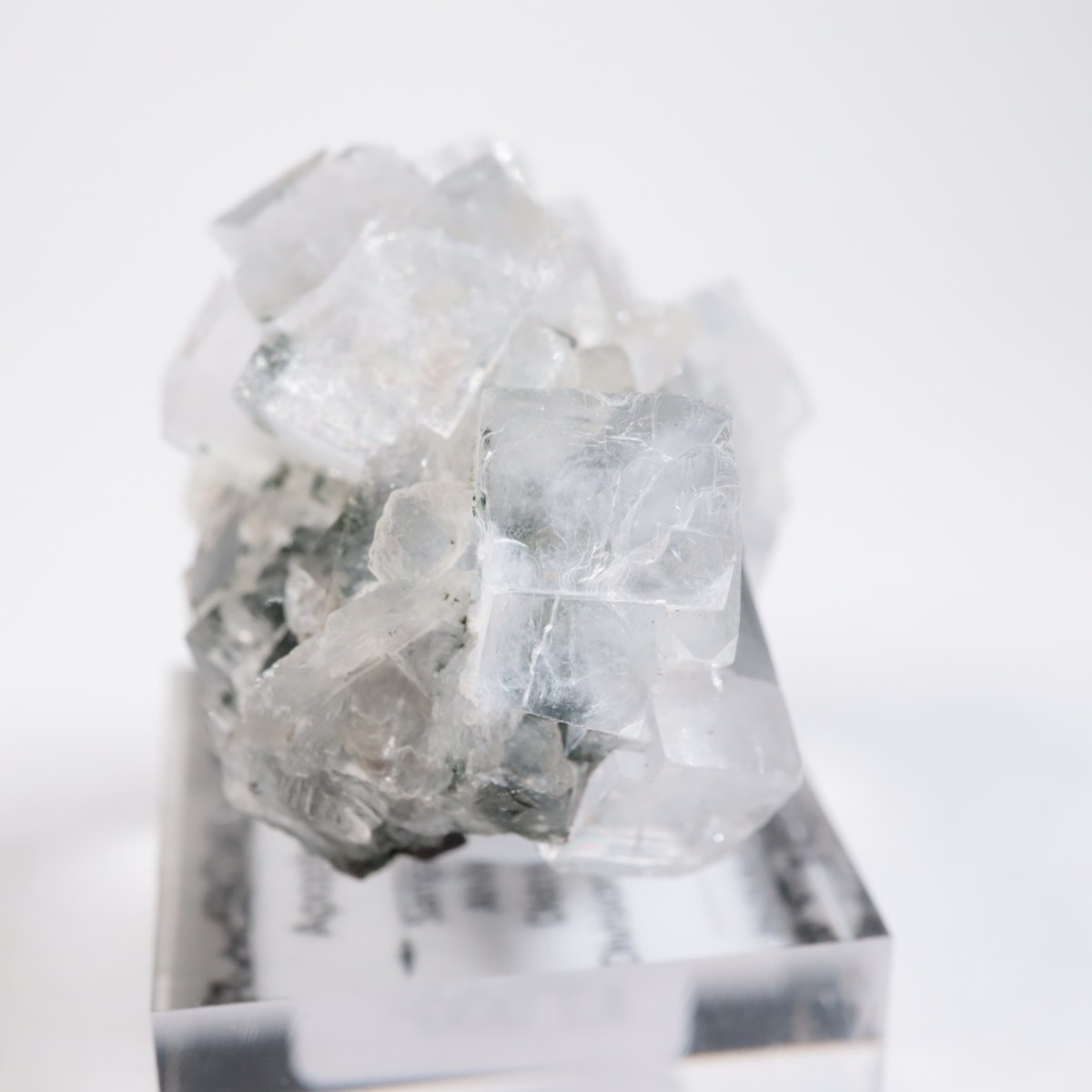 ����ɻ� ���ݥե��饤��