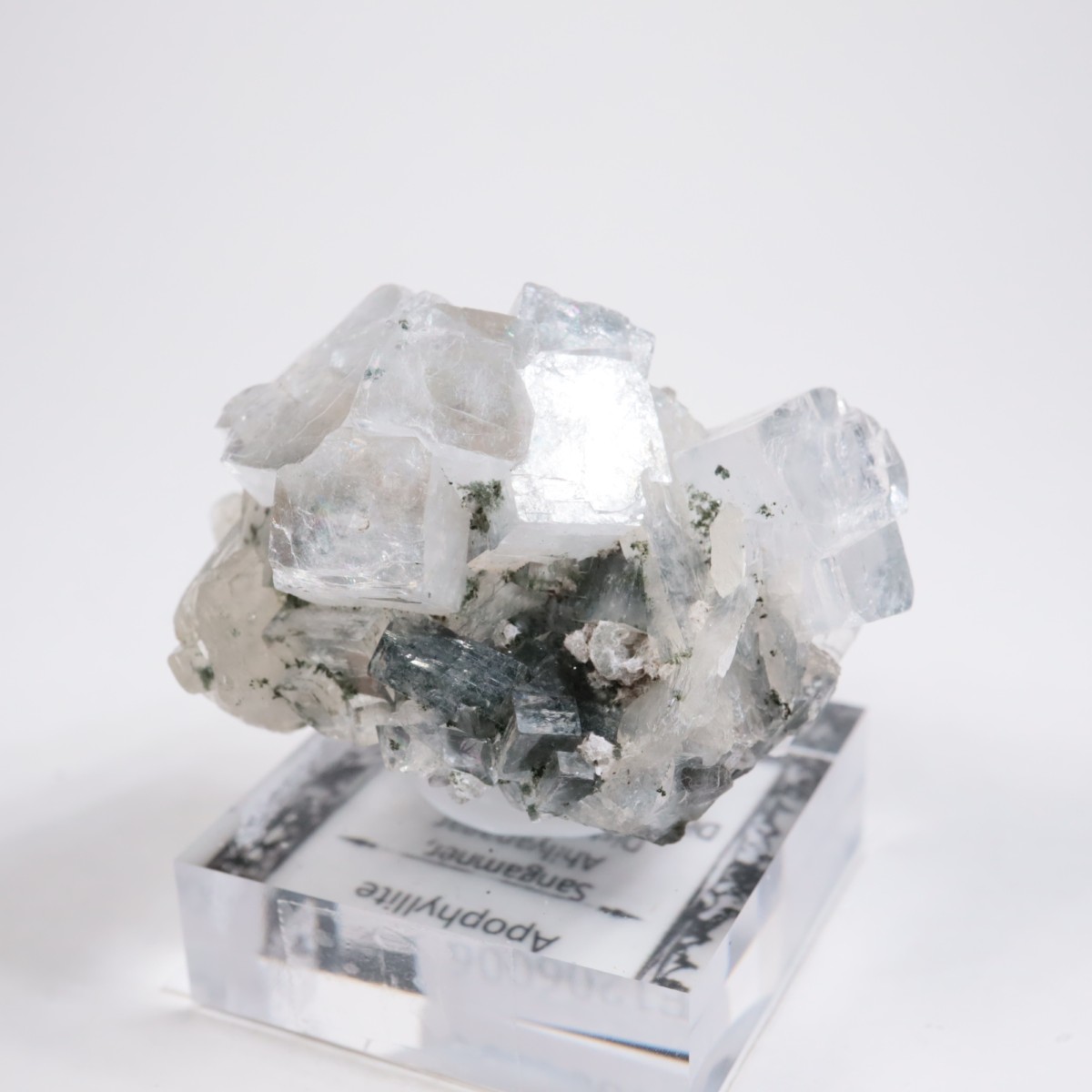 ����ɻ� ���ݥե��饤��