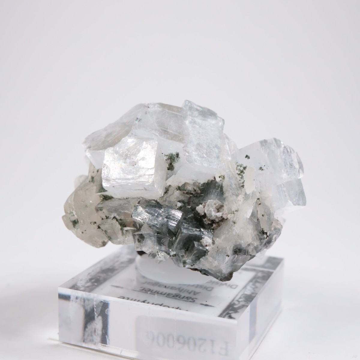 ����ɻ� ���ݥե��饤��