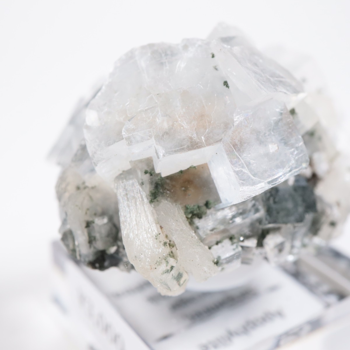 ����ɻ� ���ݥե��饤��