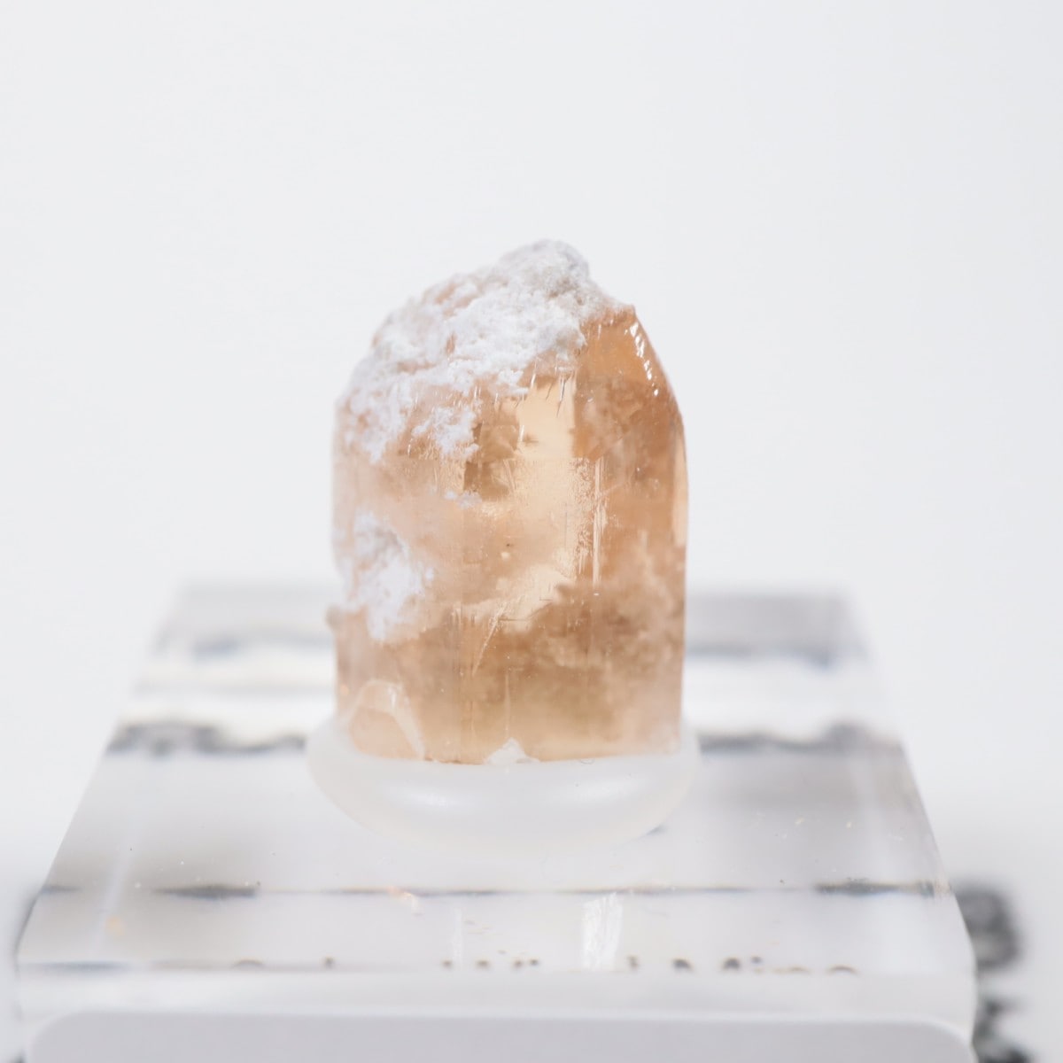 �����顼������ɹۻ� �ȥѡ���