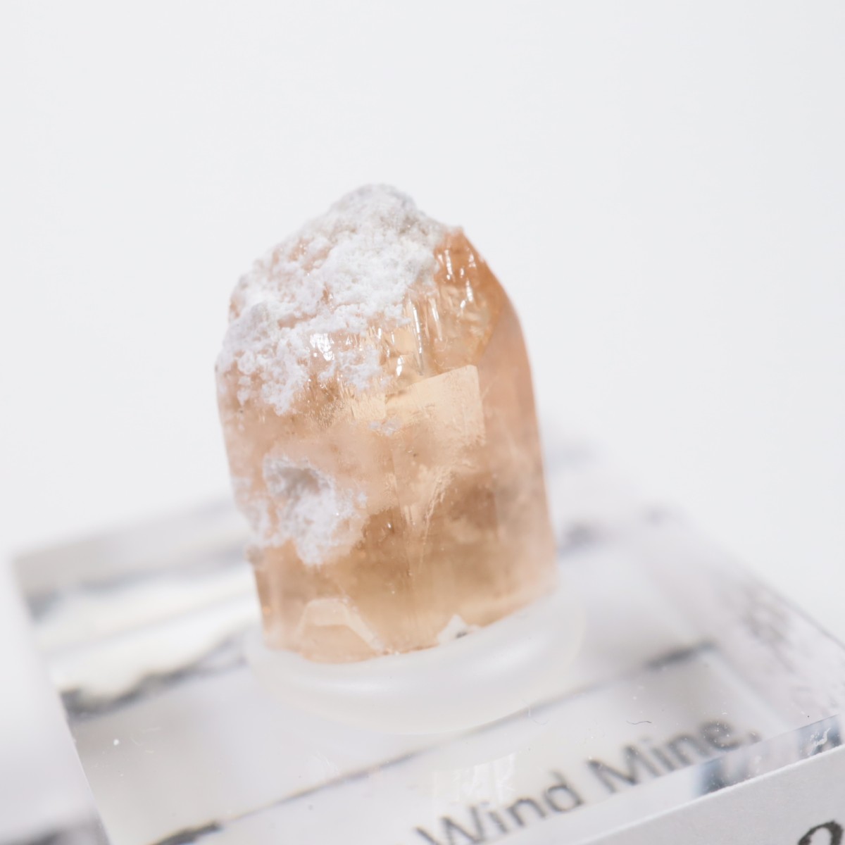 �����顼������ɹۻ� �ȥѡ���