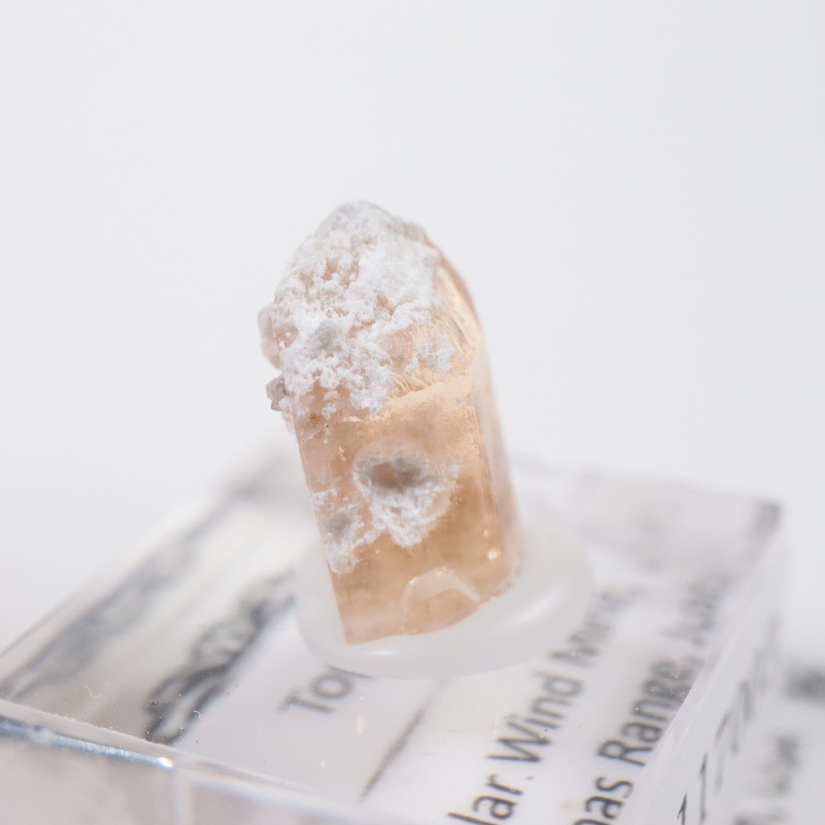 �����顼������ɹۻ� �ȥѡ���