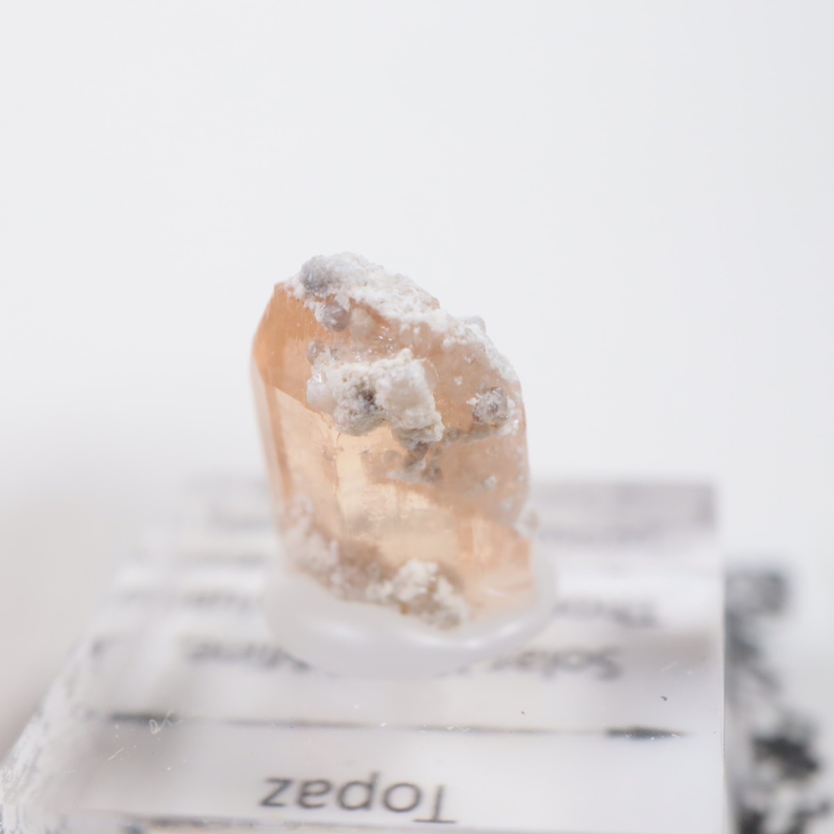 �����顼������ɹۻ� �ȥѡ���