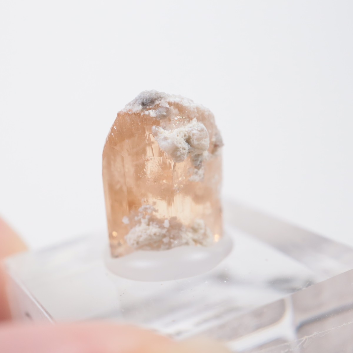 �����顼������ɹۻ� �ȥѡ���