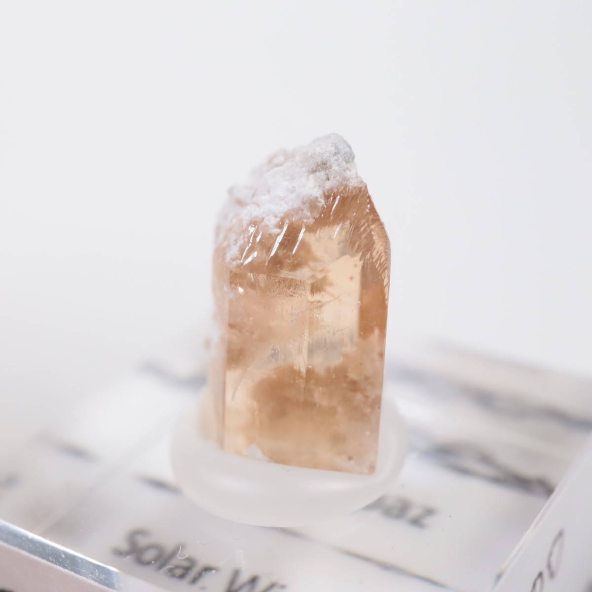 �����顼������ɹۻ� �ȥѡ���