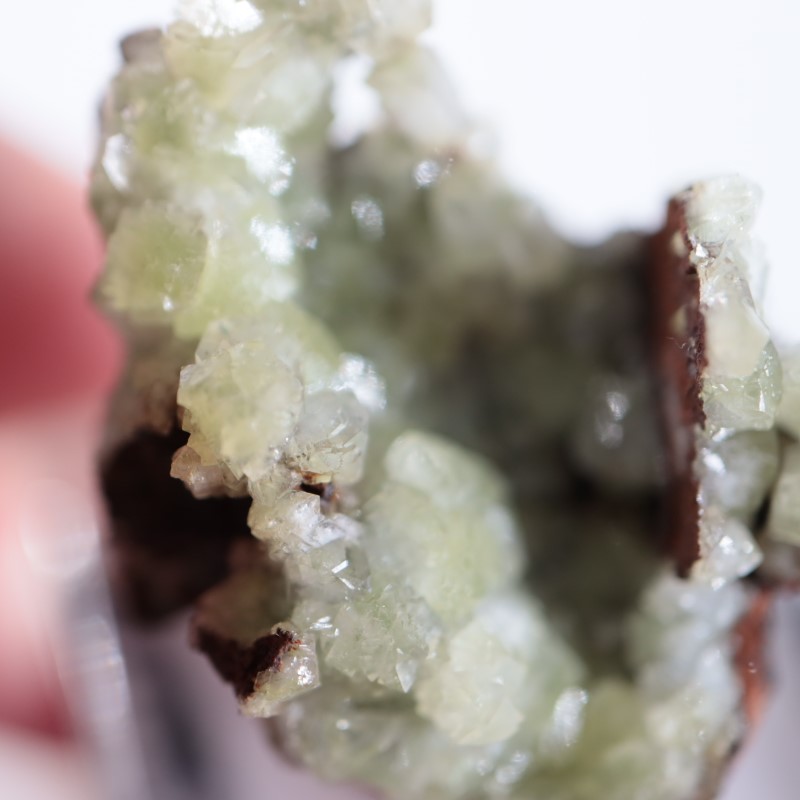 メキシコ産 アダマイト（アダム石） | 鉱物標本,ア行,アダマイト