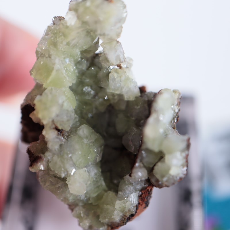 メキシコ産 アダマイト（アダム石） | 鉱物標本,ア行,アダマイト