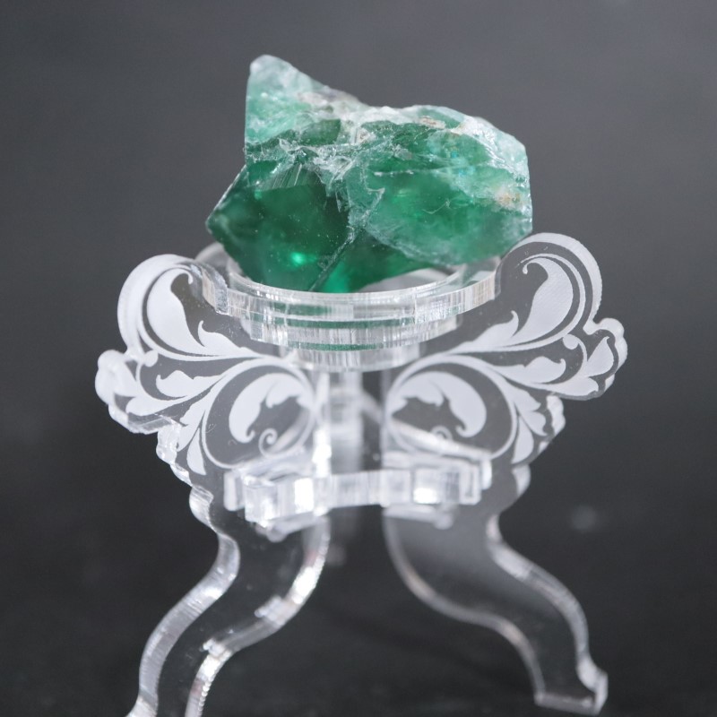 ��7/18�ɲá۹�ʪ������ɾ�