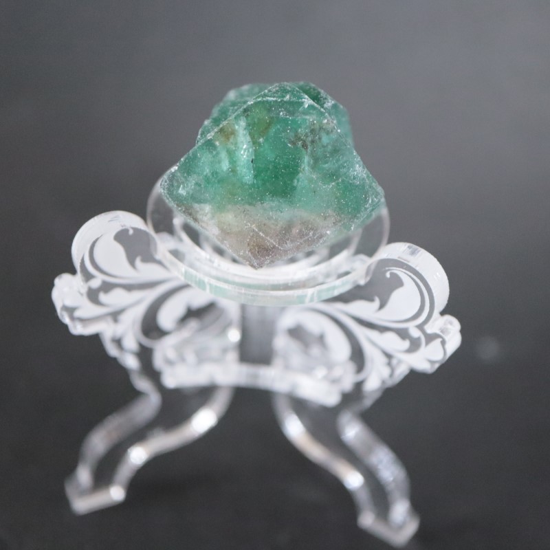 ��7/18�ɲá۹�ʪ������ɾ�