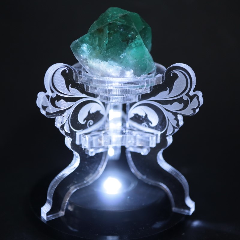 ��7/18�ɲá۹�ʪ������ɾ�