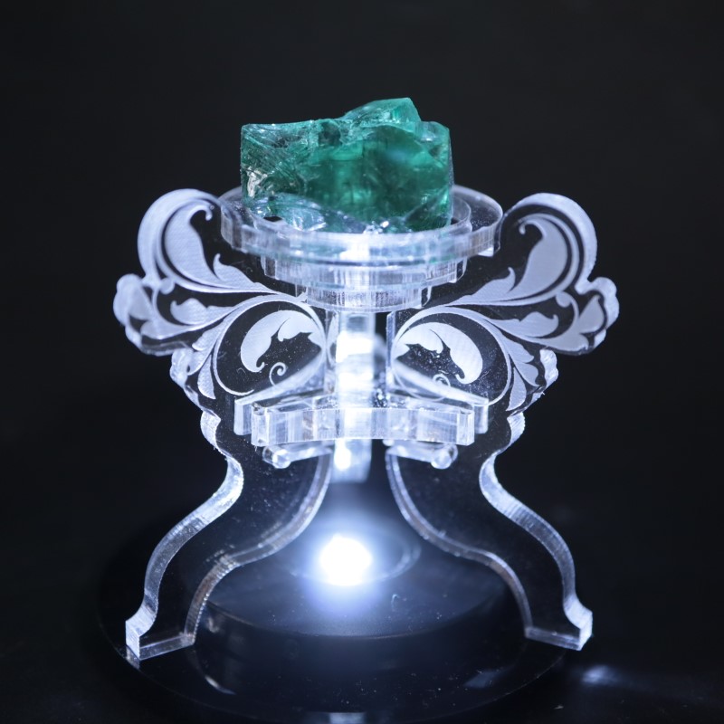 ��7/18�ɲá۹�ʪ������ɾ�