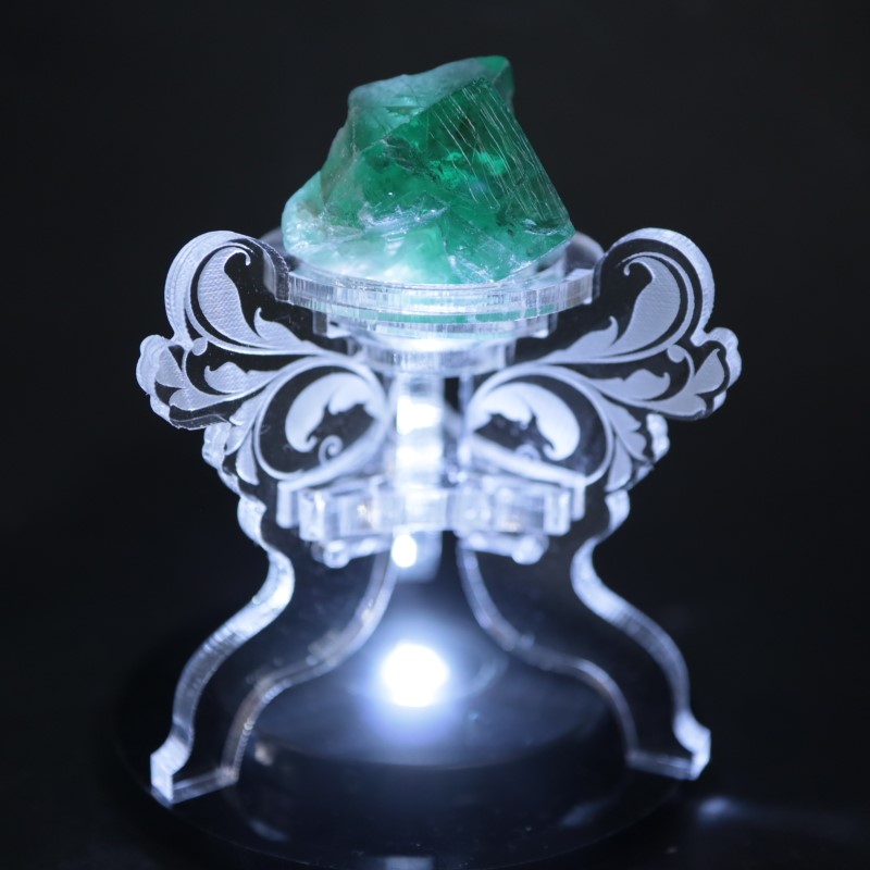 ��7/18�ɲá۹�ʪ������ɾ�
