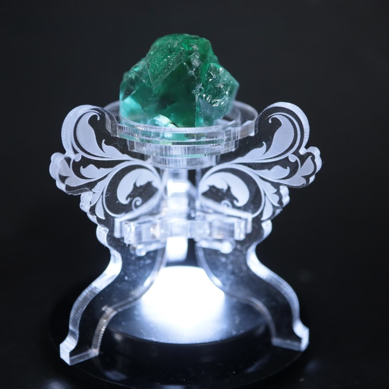 ��7/18�ɲá۹�ʪ������ɾ�