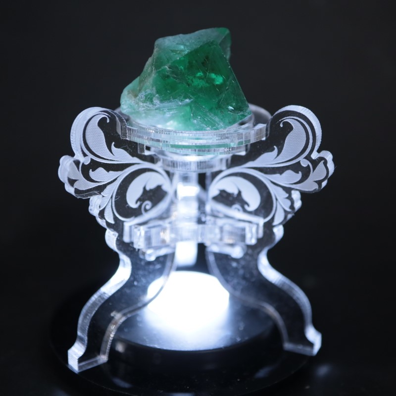 ��7/18�ɲá۹�ʪ������ɾ�