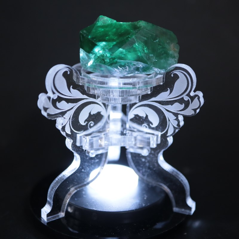 ��7/18�ɲá۹�ʪ������ɾ�