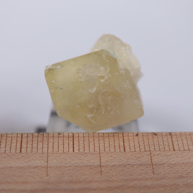 El Hammam�ۻ����ե����饤��