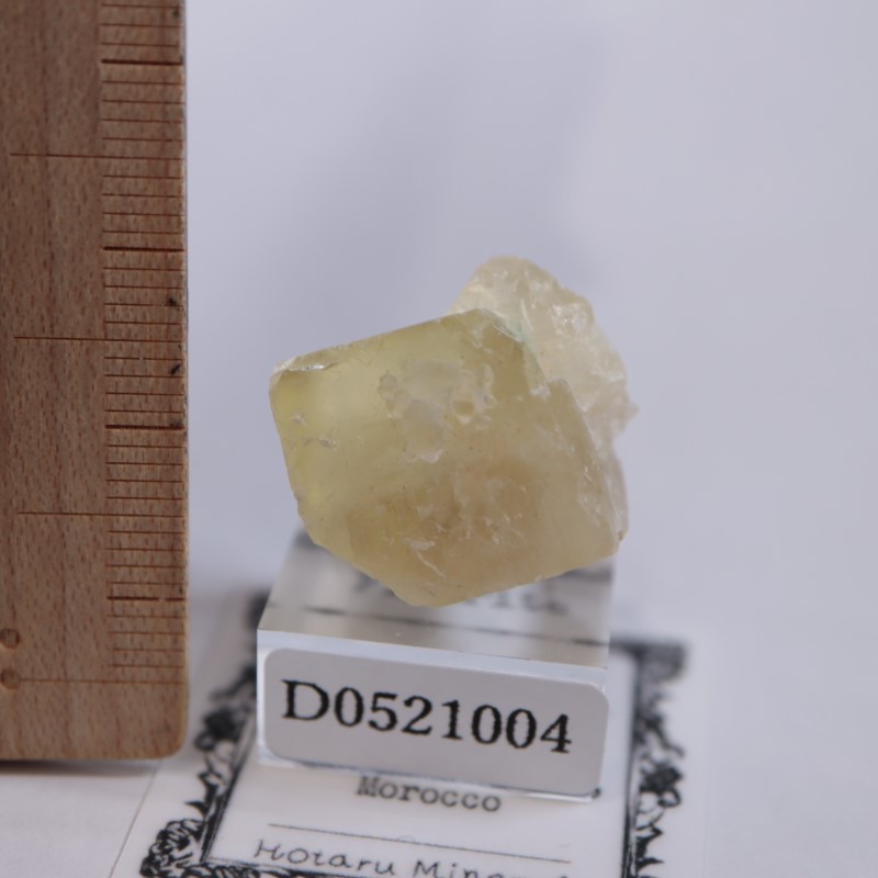 El Hammam�ۻ����ե����饤��