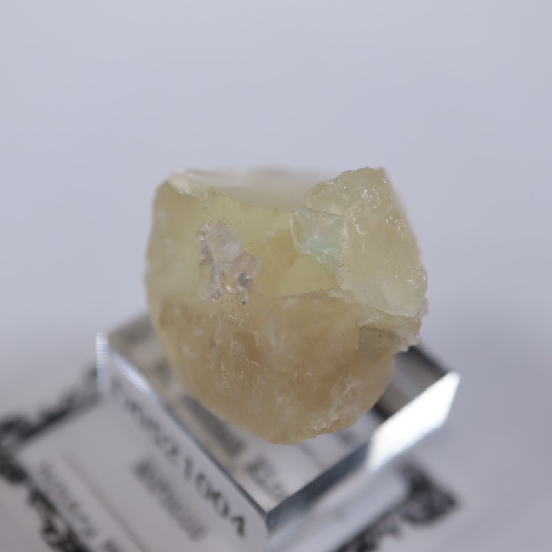 El Hammam�ۻ����ե����饤��