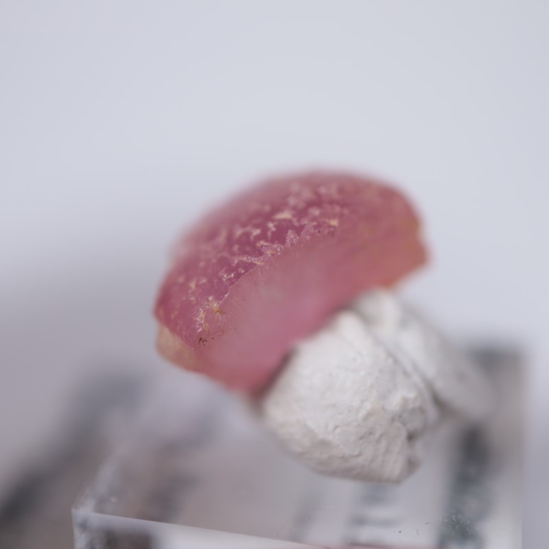 モゴック産 マッシュルームトルマリン | 鉱物標本,タ行,トルマリン