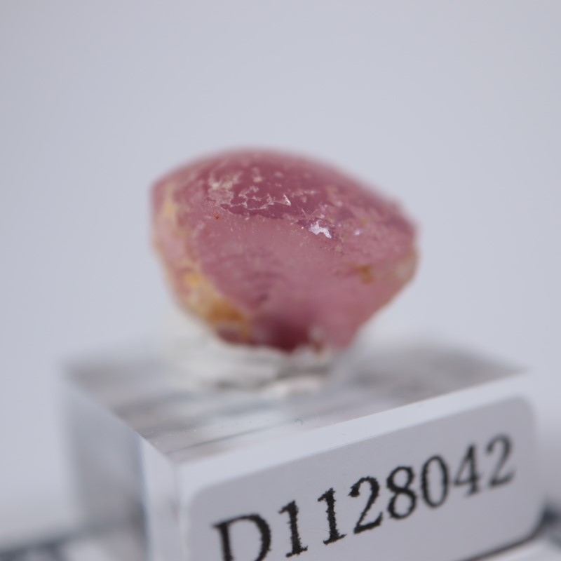 モゴック産 マッシュルームトルマリン | 鉱物標本,タ行,トルマリン