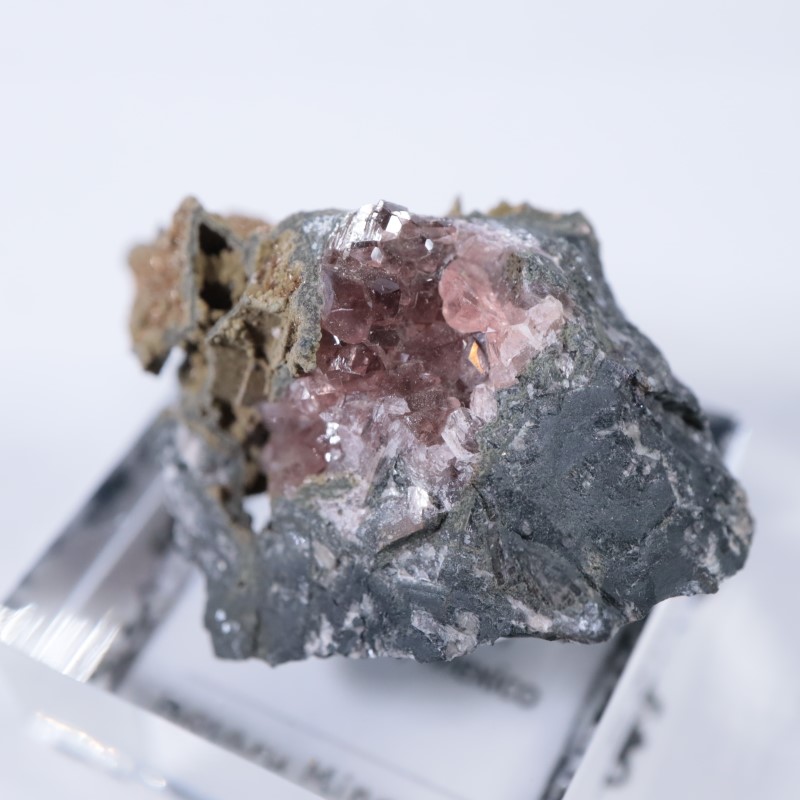 Santa Eulalia���������ɥ���������