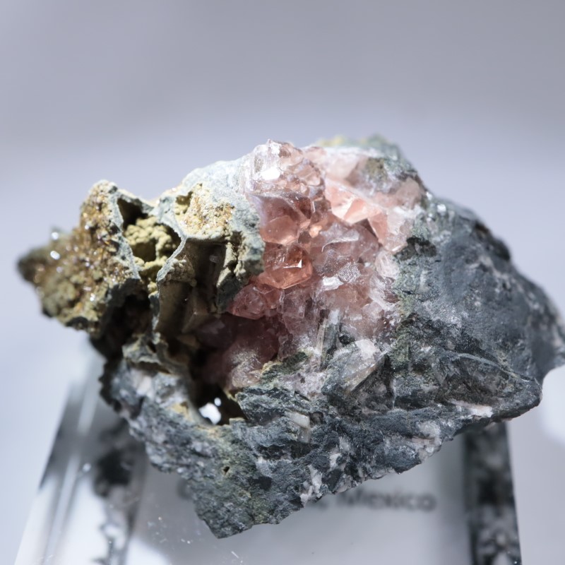 Santa Eulalia���������ɥ���������