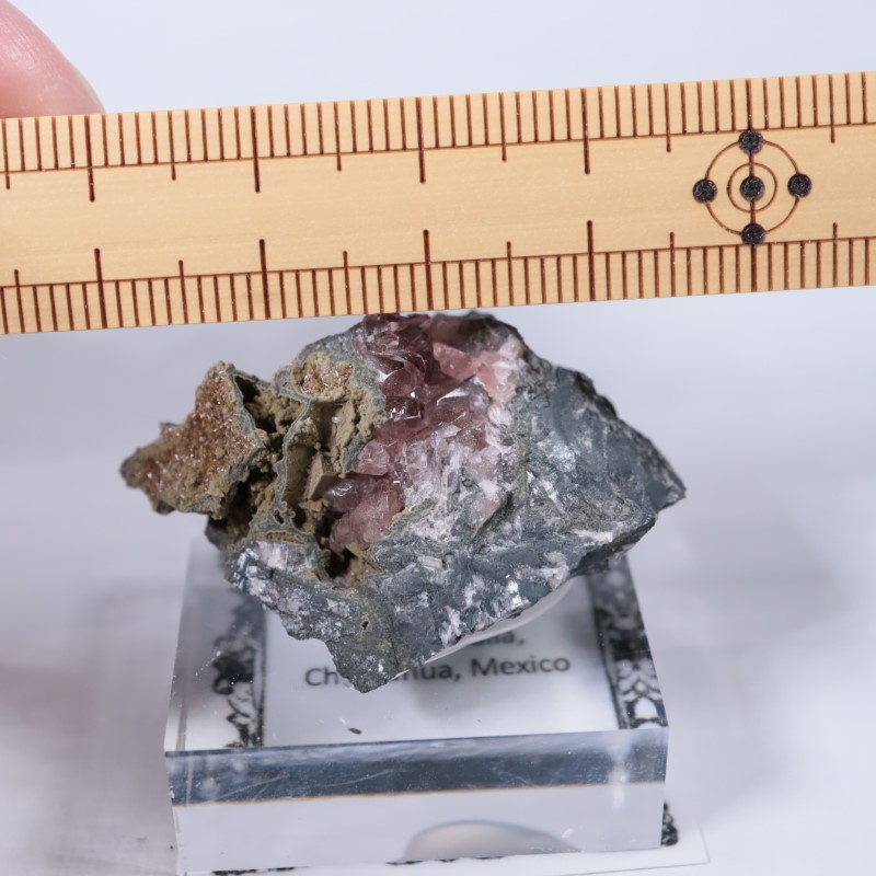 Santa Eulalia���������ɥ���������