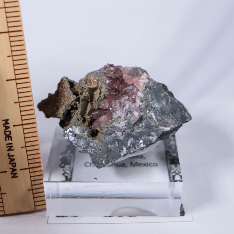 Santa Eulalia���������ɥ���������