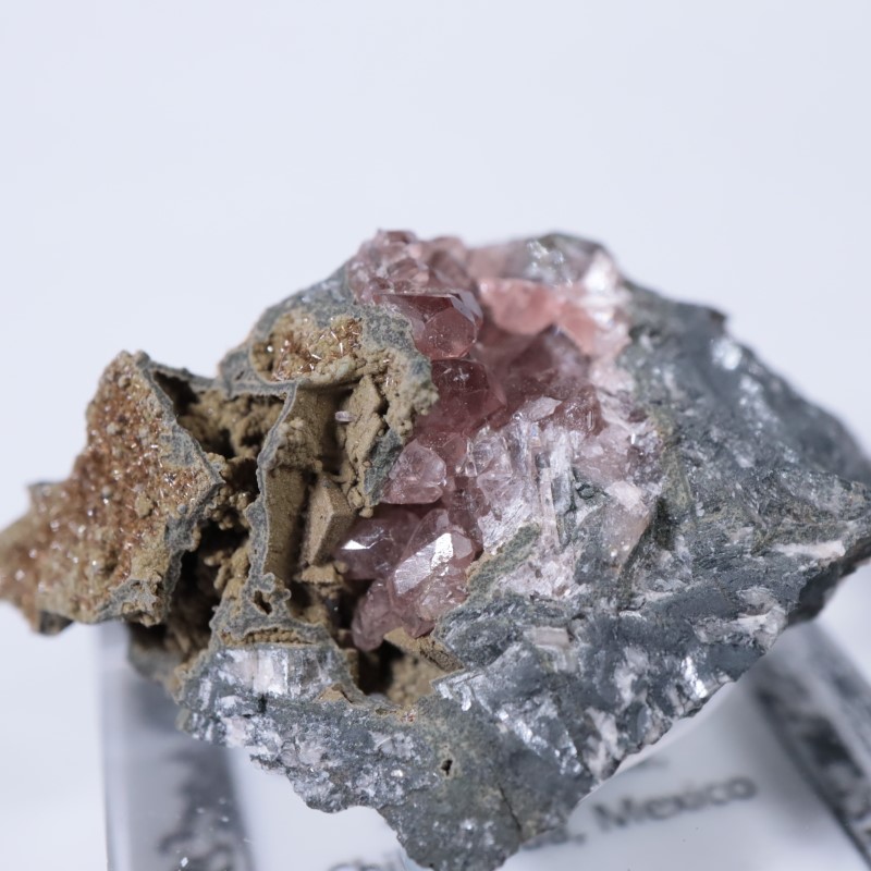 Santa Eulalia���������ɥ���������