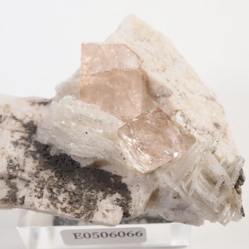 Skardu�����ȥѡ�����Ĺ��