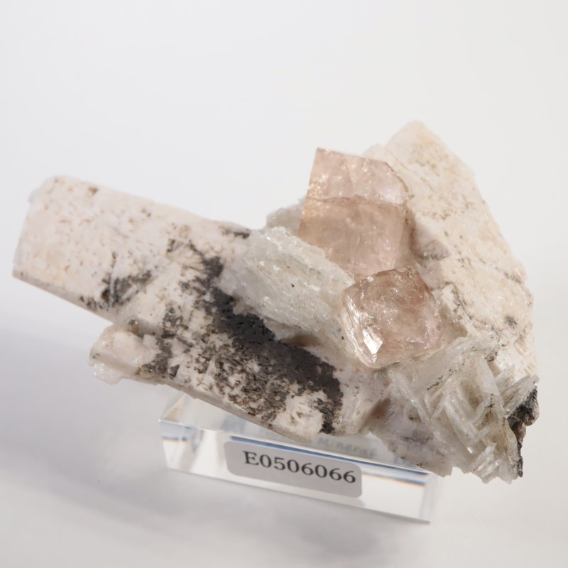 Skardu�����ȥѡ�����Ĺ��