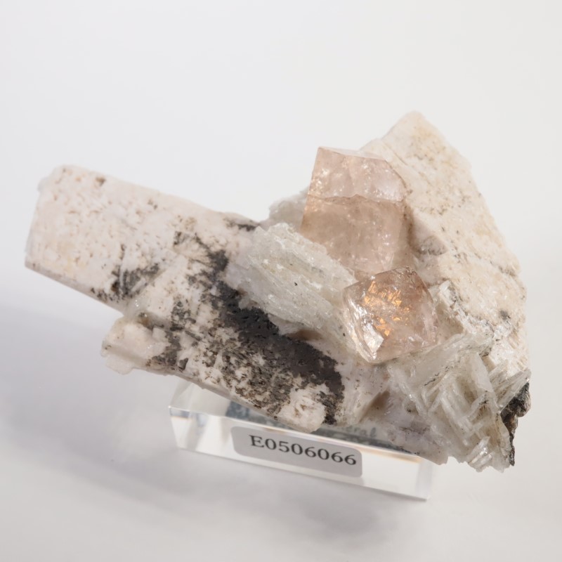 Skardu�����ȥѡ�����Ĺ��