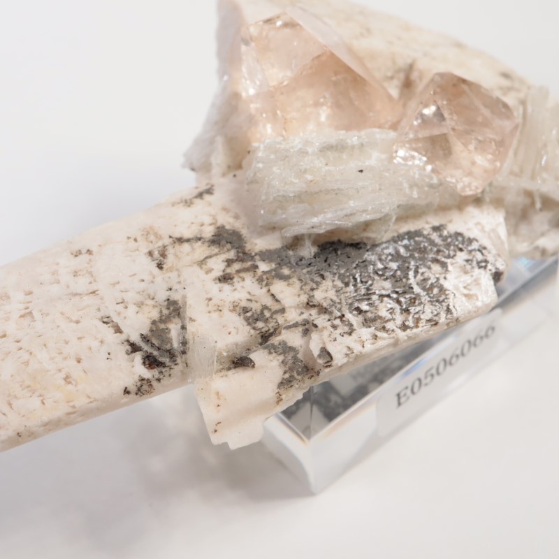 Skardu�����ȥѡ�����Ĺ��