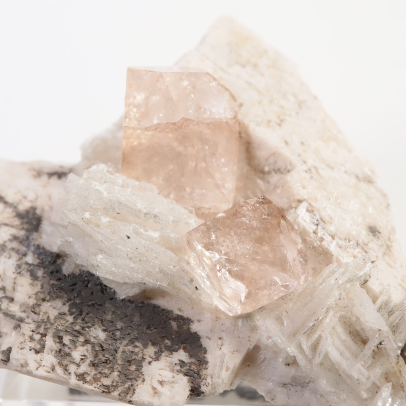 Skardu�����ȥѡ�����Ĺ��