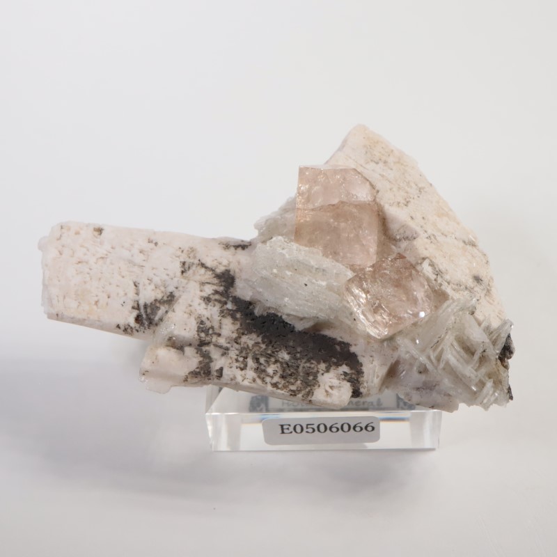 Skardu�����ȥѡ�����Ĺ��