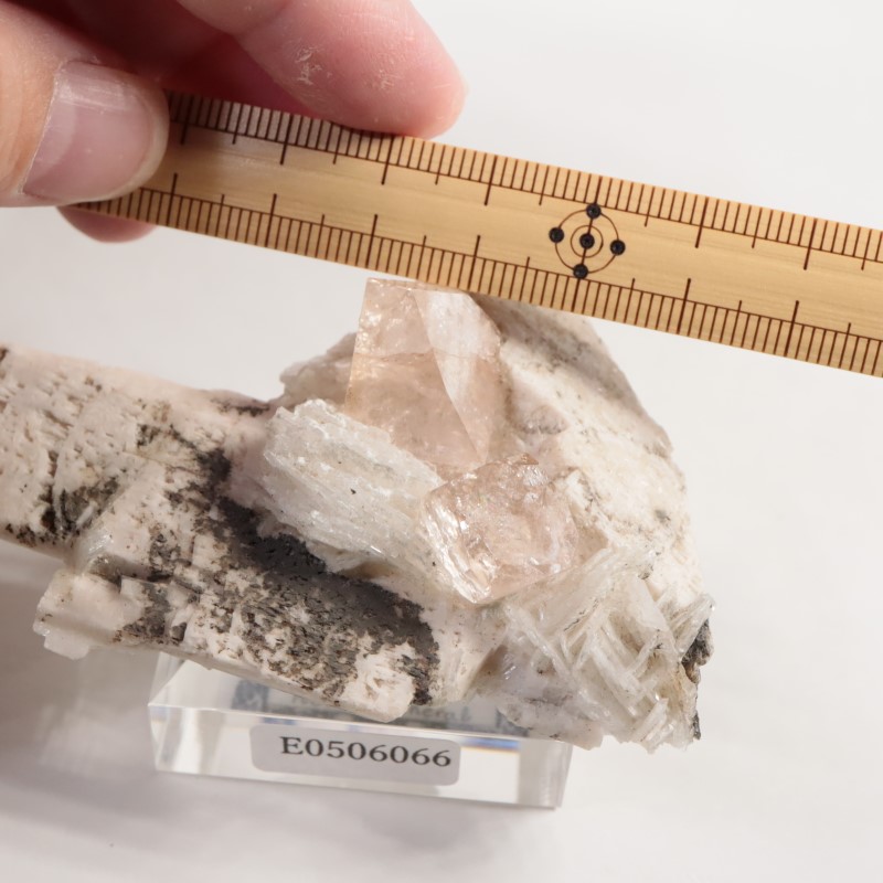 Skardu�����ȥѡ�����Ĺ��