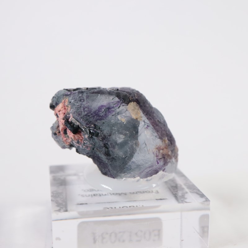 �ʥߥӥ������ե����饤��