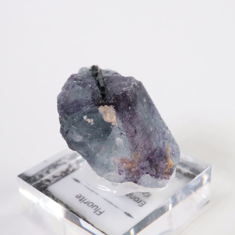 �ʥߥӥ������ե����饤��