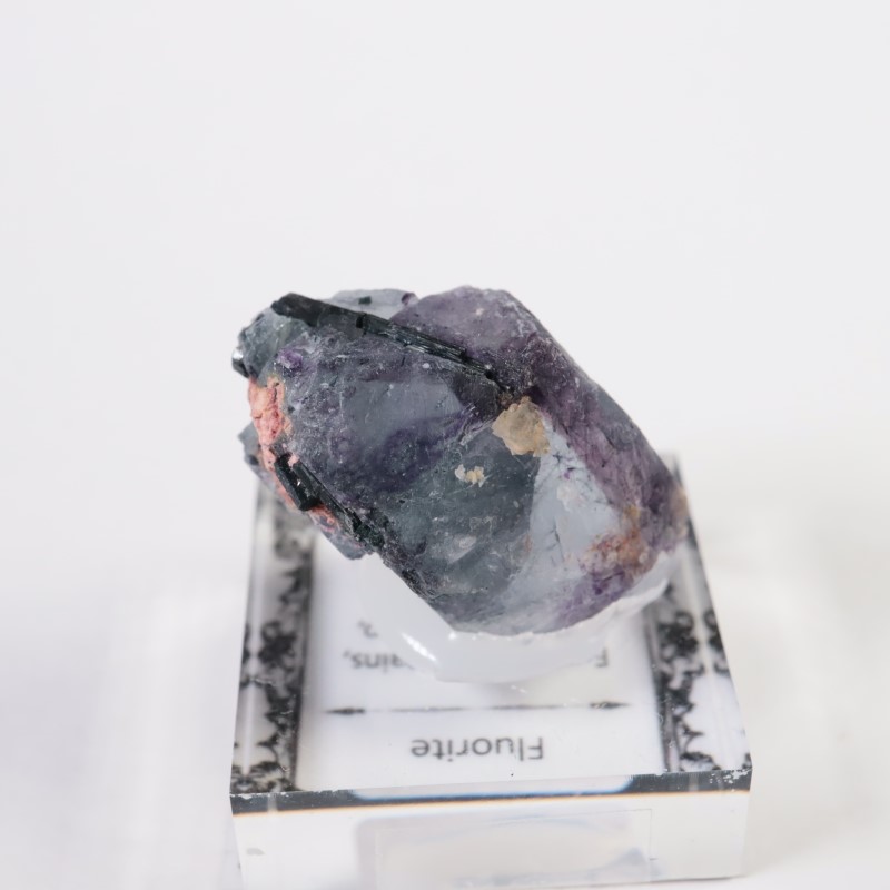 �ʥߥӥ������ե����饤��