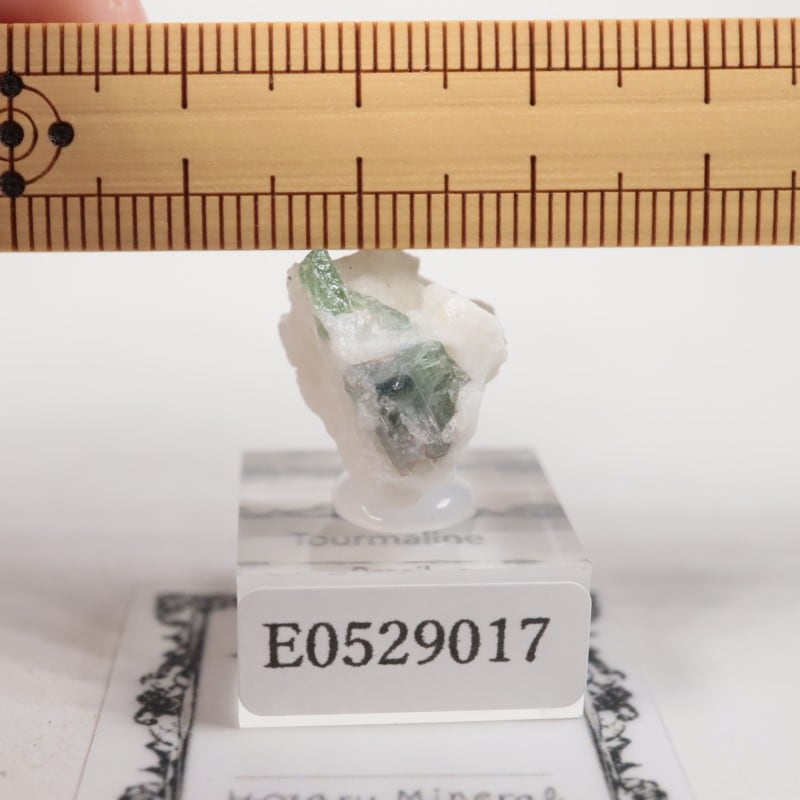 �֥饸�뻺���ȥ�ޥ��