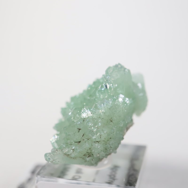 ����ɻ� ���ݥե��饤��