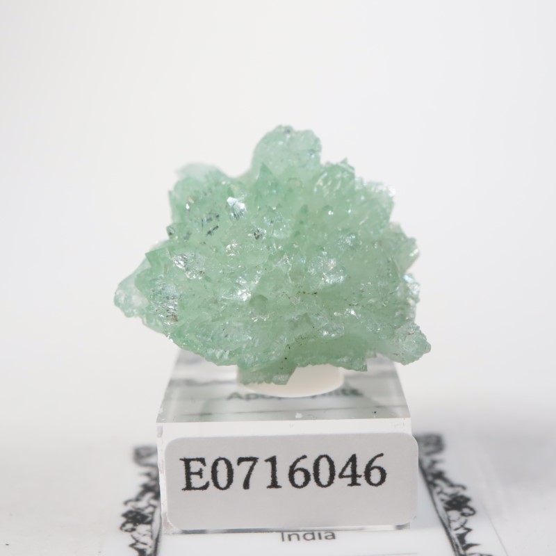 ����ɻ� ���ݥե��饤��