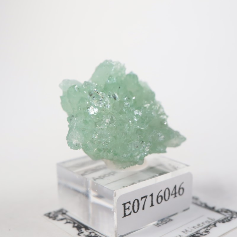 ����ɻ� ���ݥե��饤��