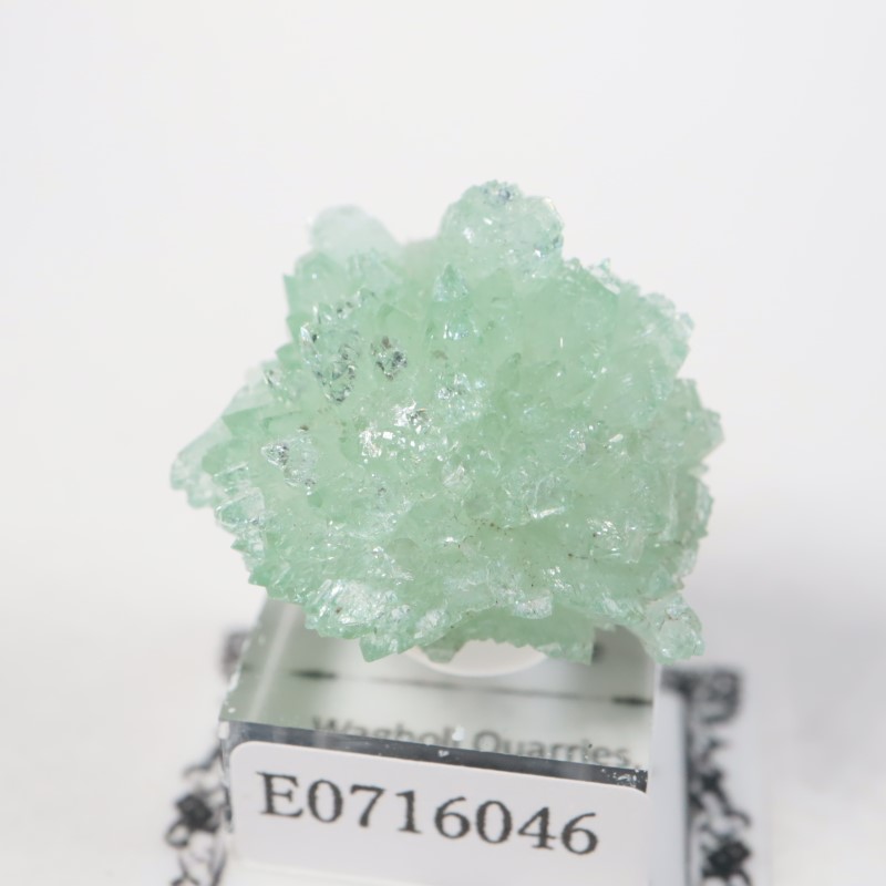 ����ɻ� ���ݥե��饤��