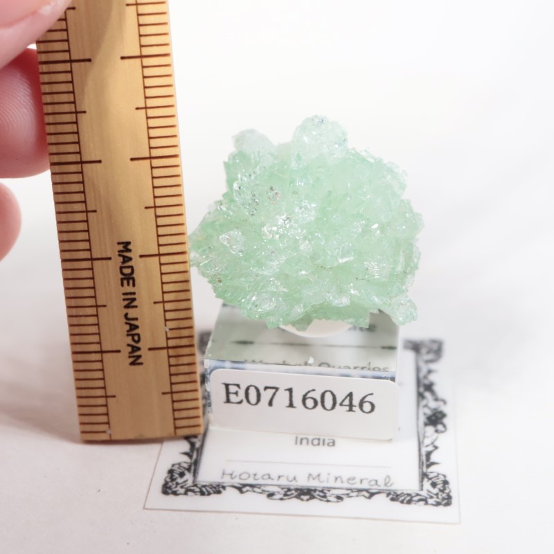 ����ɻ� ���ݥե��饤��